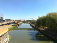 Imagine atasata: zrenjanin 23.JPG